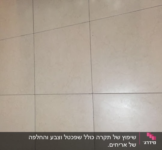 רצפת אריחים בהירה עם קווי חיבור